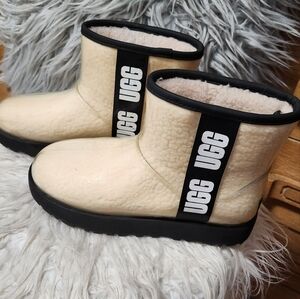 UGG Cream Short Shearling Winter Boots with Black Trim